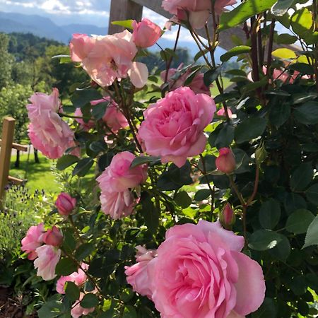 Apartma Rosa Spodnji Otok Exteriör bild