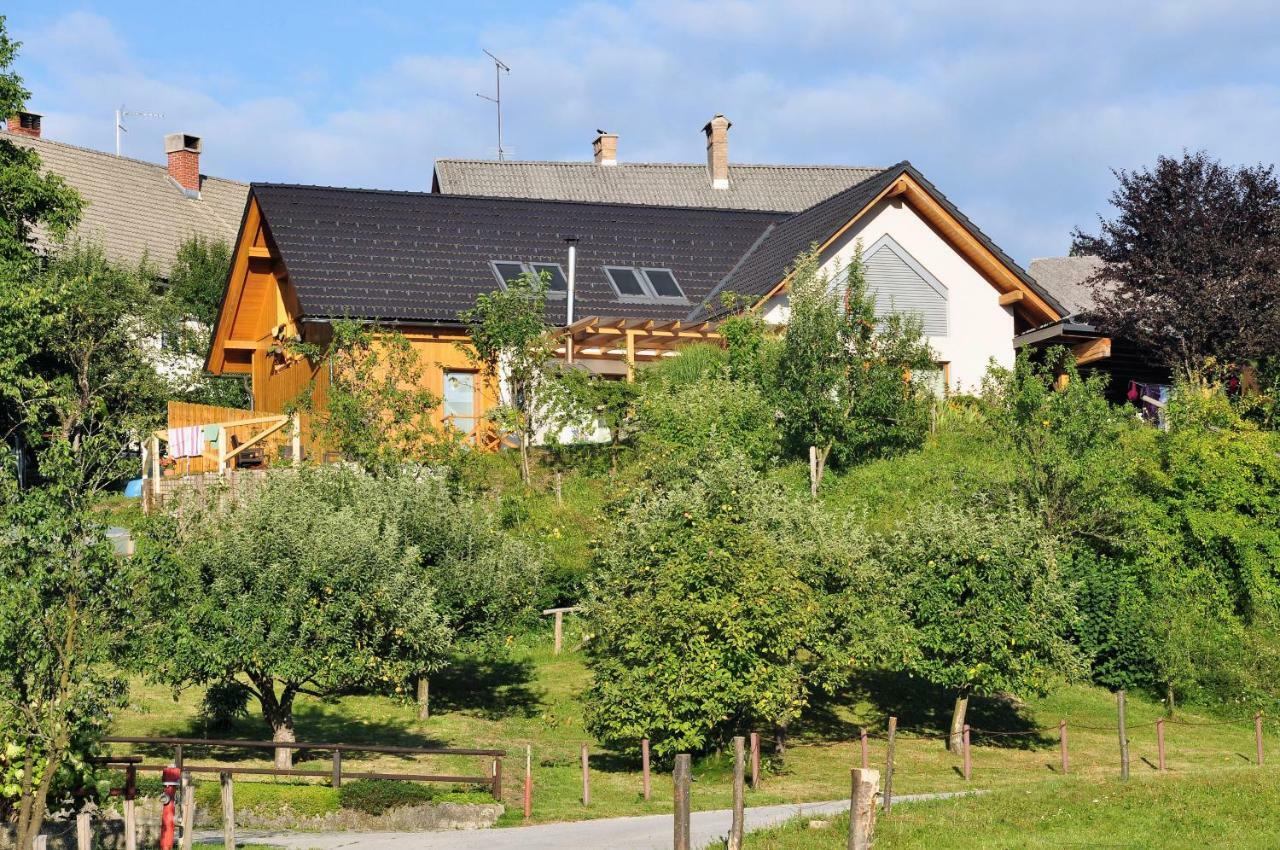 Apartma Rosa Spodnji Otok Exteriör bild