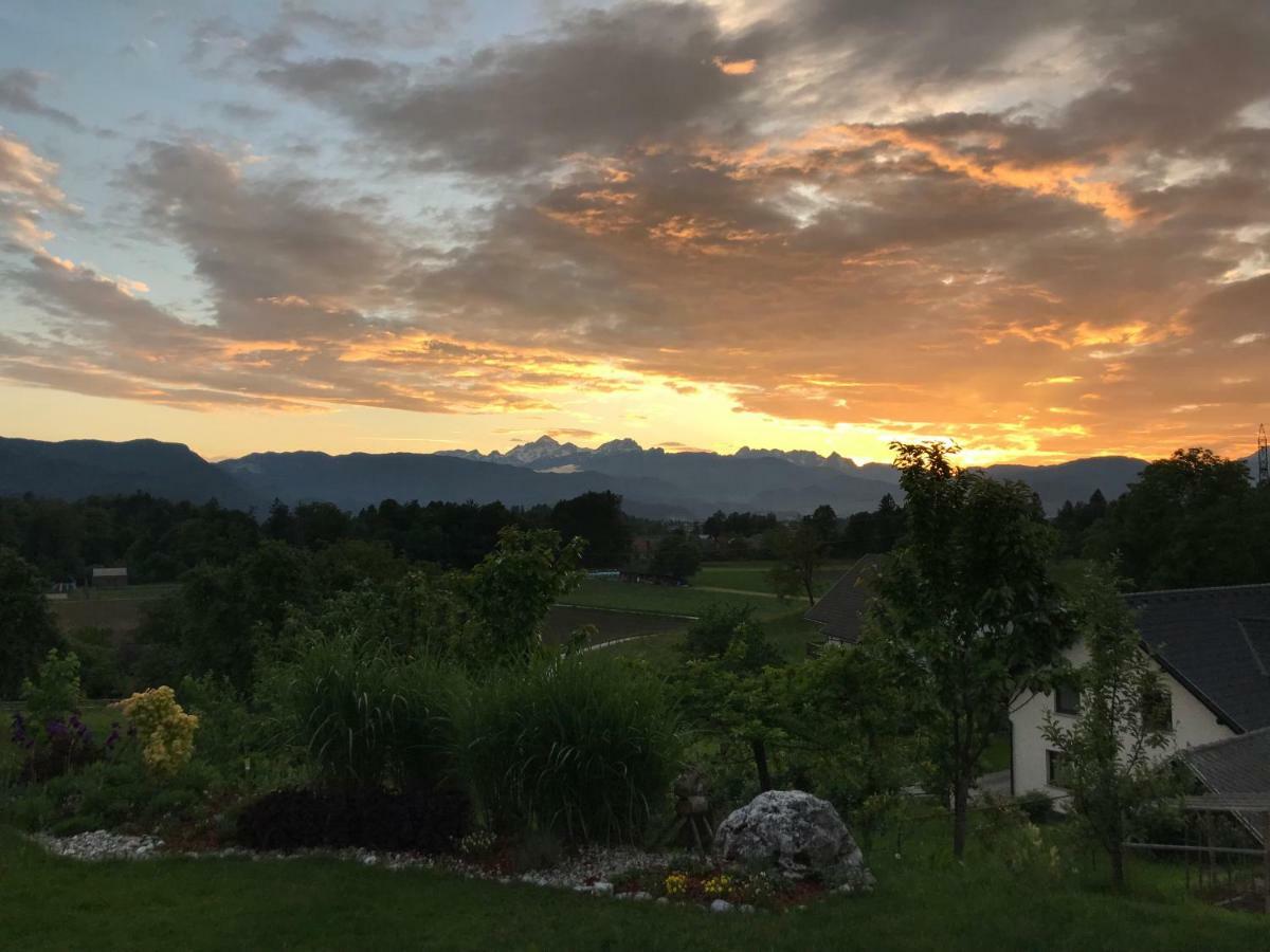 Apartma Rosa Spodnji Otok Exteriör bild